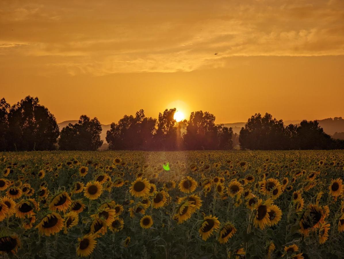 Agriturismo Poderedodici Orbetello Buitenkant foto