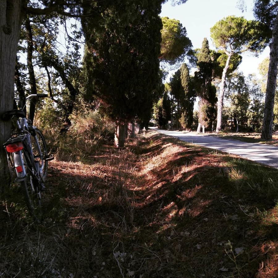 Agriturismo Poderedodici Orbetello Buitenkant foto